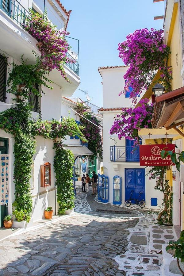 Mikri Gonia Villa Skiathos by Eksteriør billede